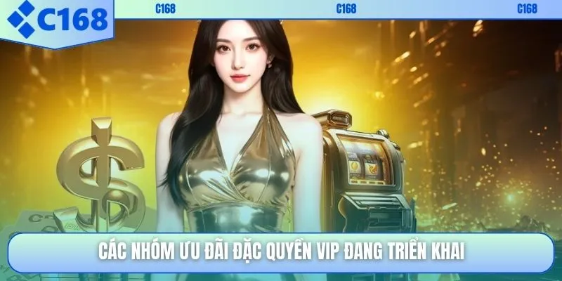Các nhóm ưu đãi đặc quyền VIP đang triển khai